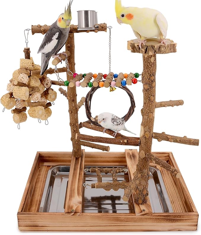 Bird Playground - Natural Wood Bird Perch Stand with Removable Tray and 2 Stainless Steel Cups-PawvioPets