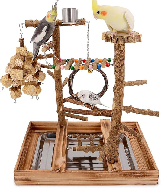 Bird Playground - Natural Wood Bird Perch Stand with Removable Tray and 2 Stainless Steel Cups-PawvioPets