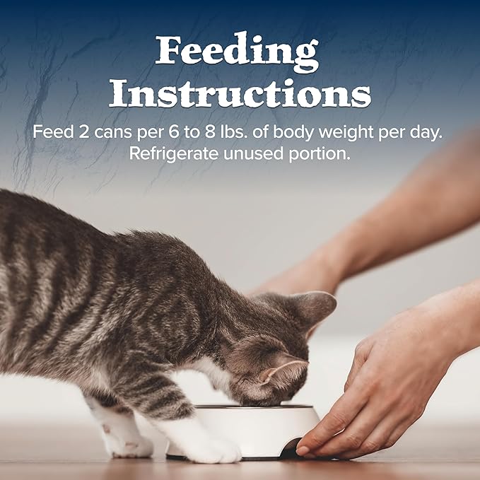 Blue Buffalo Wilderness Natural High-Protein Grain-Free Wet Food for Adult Cats, Salmon Paté, 5.5-oz. Cans, 24 Count-PawvioPets