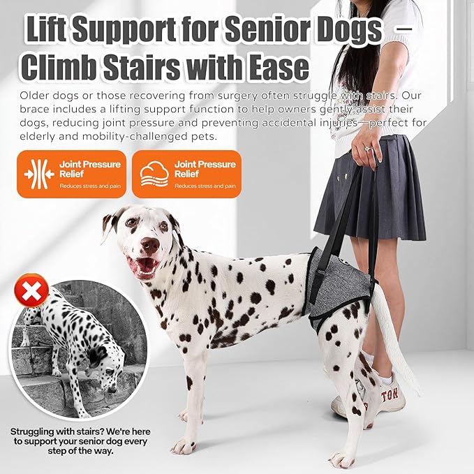 Dog Sling for Medium Large Dog Rear Leg, Lift Harness Provide Support with Muscle Atrophy and Joint Problems for Elderly Injured Arthritic Pet, Dog Weak Rear Legs Provides Rehabilitation Aid-PawvioPets
