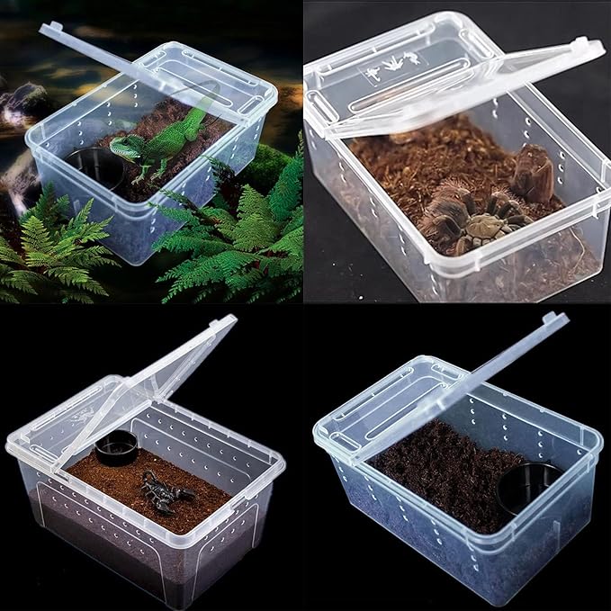 Critter Keeper 2-Pack, Cricket Cage & Reptile Feeding Box 12.59"x8.66"x5.9" Transparent Portable Plastic Snake Habitat Escape-Proof Ventilated Design for Gecko, Tarantula, Scorpion, Spider, Frog-PawvioPets
