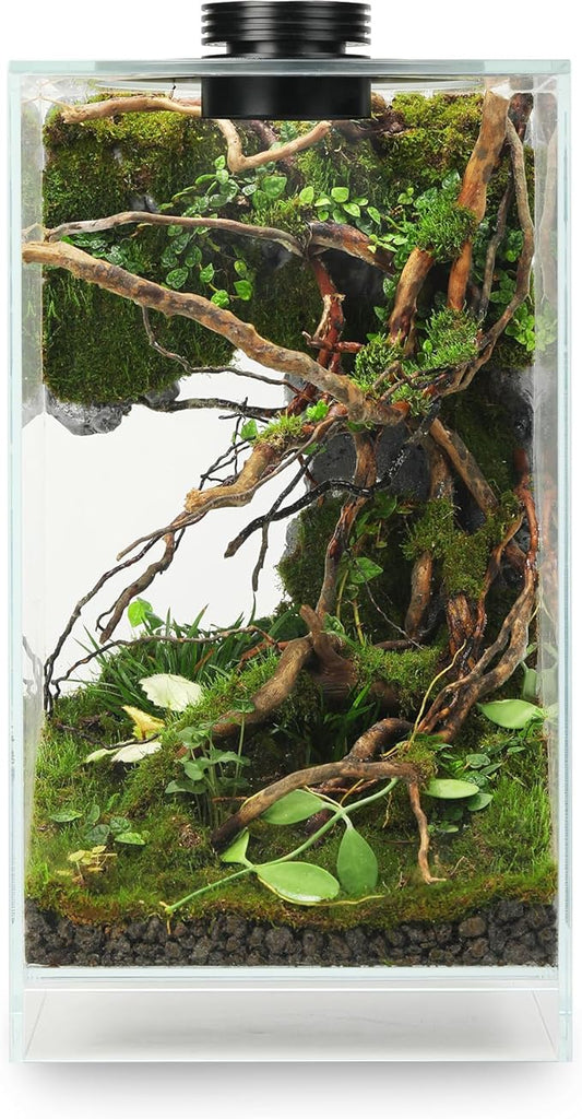 Desktop Glass Plant Terrarium with Grow Light(L7.8 W7.8 H14), for Succulent, Moss, Miniature Gardening Landscape, Betta Fish Tank, Indoor Plant Growth, Office Home Decoration (TimeControlled)-PawvioPets