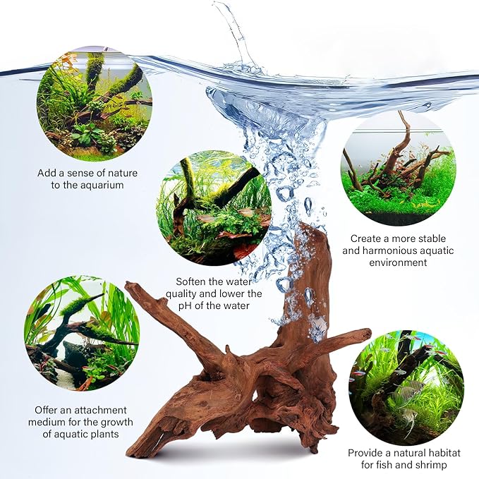 Driftwood for Aquarium Natural Aquarium Wood for Aquascaping Fish Tank Decorations Reptile Tank Decor (Natural Driftwood 12-16" 1 Pack+Protein Cotton)-PawvioPets