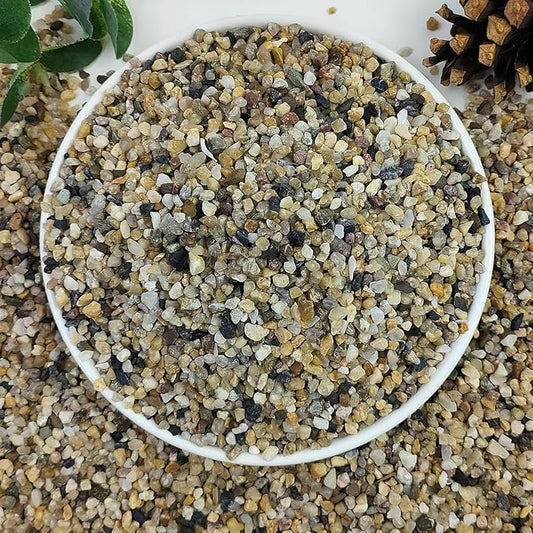 20lbs Aquarium Gravel, 1/8"(2-4mm) Natural River Rocks Succulent Cactus Pea Gravel for Plants, Fish Tank, Decorative Pebbles for Gardening, Flower Pots, Vase Fillers, Landscaping-PawvioPets