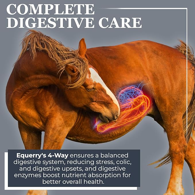 Equerry's Combined RX 4 Way | Equine Nutritional Support | Complete Formula | Digestive and Joint Support | Hoof & Hair | Probiotics Vitamins & Minerals 160 Feedings, 20lb.-PawvioPets