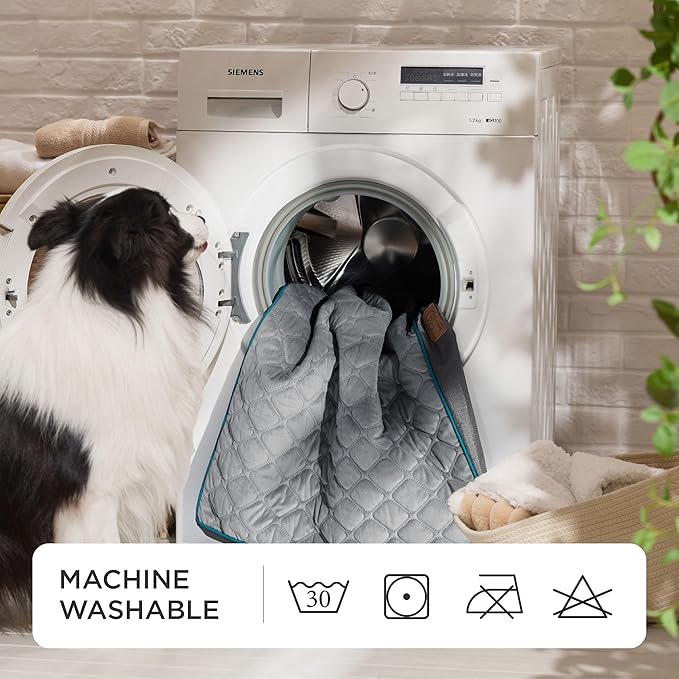 Bedsure Orthopedic Dog Bed for Medium Dogs - Flat Memory Foam Pet Mattress with Removable Washable Cover and Egg Crate Foam, Suitable for Pet Up to 35 lbs, 30x20x3 Inches, Grey-PawvioPets