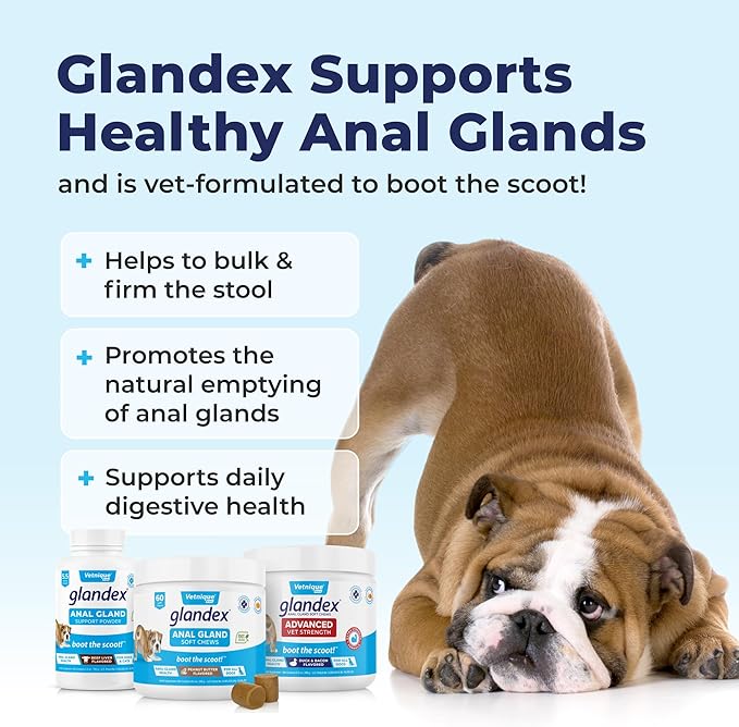 Glandex Dog Fiber Supplement Powder for Anal Glands with Pumpkin, Digestive Enzymes & Probiotics - Vet Recommended (Regular or Advanced Strength) - Boot The Scoot (5.5 oz, Vegan Salmon)-PawvioPets