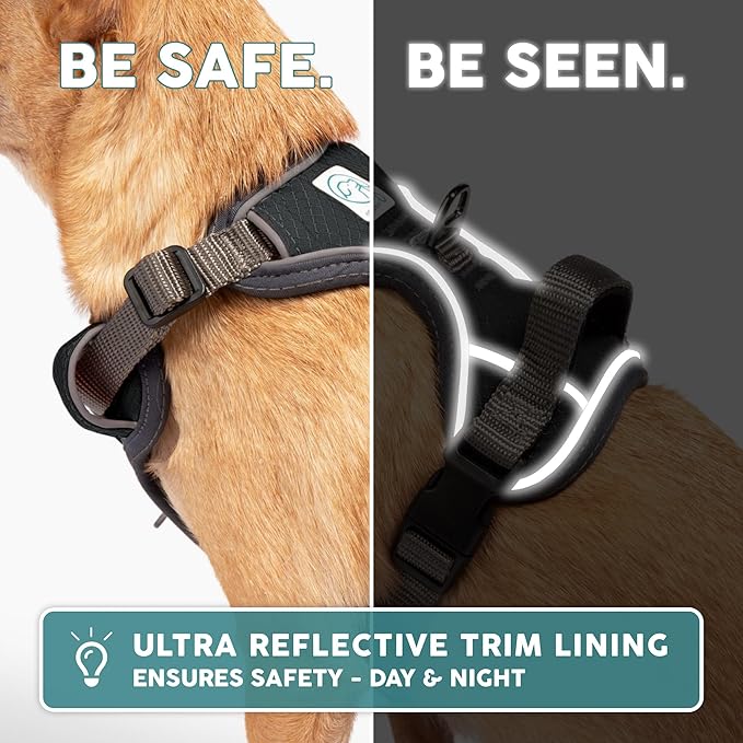 Embark Adventure Dog Harness, No-Pull Reflective Trim Dog Harness for Small, Medium & Large Dogs - Military Grade Nylon, 2 Leash Clips & Gel Lined Handle. Soft & Padded Puppy Dog Vest for Any Breed-PawvioPets