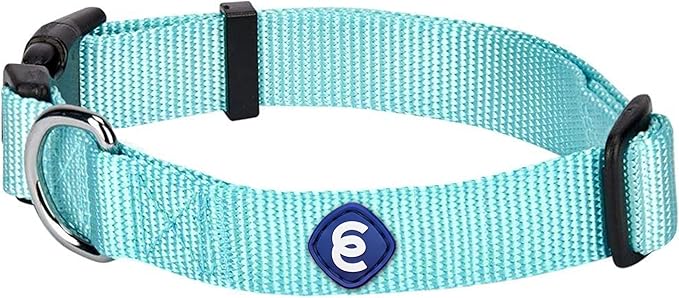 Blueberry Pet Essentials X-Small Dog Collar in Mint Blue | Adjustable & Eco-Friendly Durable Nylon Strap | Classic Collar for X-Small Dogs, Boy & Girl Pets-PawvioPets