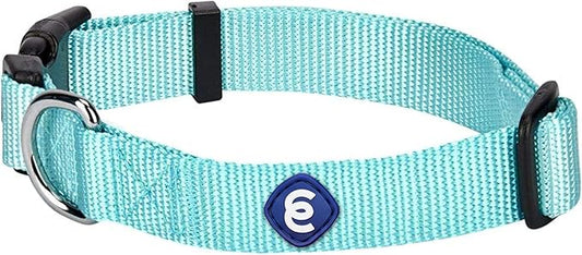 Blueberry Pet Essentials X-Small Dog Collar in Mint Blue | Adjustable & Eco-Friendly Durable Nylon Strap | Classic Collar for X-Small Dogs, Boy & Girl Pets-PawvioPets