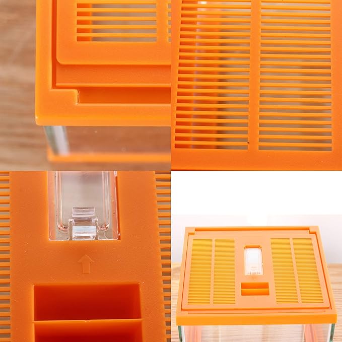 crapelles Reptile Terrarium kit Color Orange Spider Container Tarantula Box cage Gecko Habitat Insect Enclosure pet Tank Frog Carrier Tortoise Snail Container Hermit Crab House Cricket breeding-PawvioPets