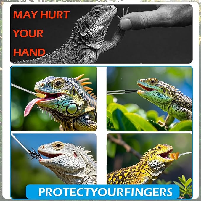 5 Pcs Reptile Feeding Tools Set with Silicone Tips - Extra Long Straight&Curved Tongs, Spoons, Scissors - Stainless Steel Terrarium Feeder Kit for Bearded Dragons, Lizards, Snake, Spiders, Aquarium-PawvioPets