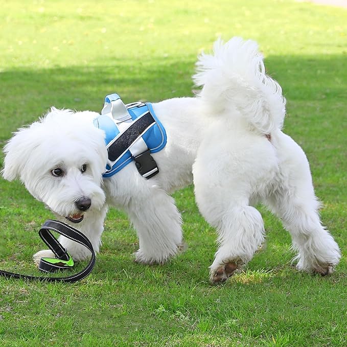 Bolux Dog Harness, No-Pull Reflective Dog Vest, Breathable Adjustable Pet Harness with Handle for Outdoor Walking - No More Pulling, Tugging or Choking-PawvioPets