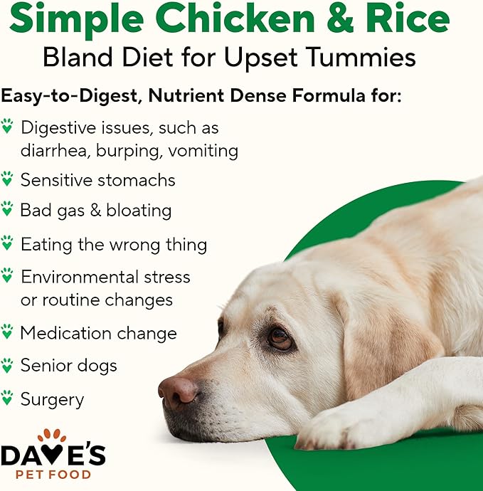 Dave's Pet Food Bland Dog Food (Lamb & Rice), Canned Wet Dog Food for Sensitive Stomachs, Gluten-Free, Digestive Care, 13.2 oz (Case of 12)-PawvioPets