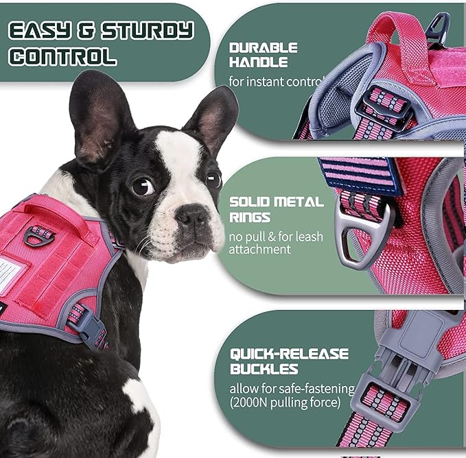 BUMBIN Tactical Dog Harness for Small Dogs No Pull, Famous TIK Tok No Pull Puppy Harness, Fit Smart Reflective Pet Walking Harness for Training, Adjustable Dog Vest Harness with Handle Rose Red XS-PawvioPets