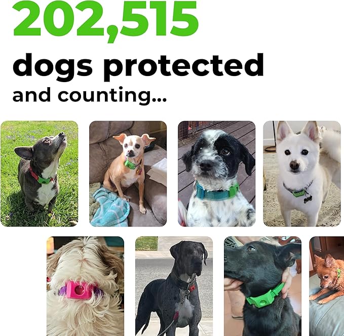 FurLife Green Dog Tag, Flea and Tick Prevention for Dogs - Waterproof Pendant for Collar, Safe for All Breeds-PawvioPets