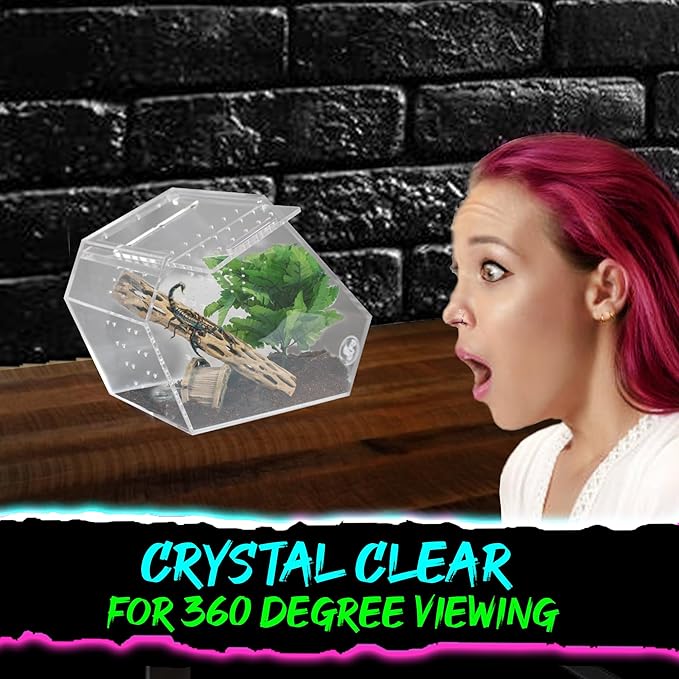 Coffin Shaped Jumping Spider Enclosure 9.5”x7.5”x5” Tarantula Enclosure Reptile Terrarium w/Sliding Magnetic Door. Great Reptile Tank Acrylic Aquarium Spider Box for Terrestrial or Arboreal Animal.-PawvioPets