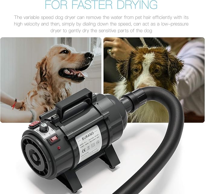 Burano Dog Dryer, High Velocity Pet Hair Dryer, 4.3HP Stepless Adjustable Speed Dog Hair Force Dryer, Powerful Pet Blower with Heater-PawvioPets