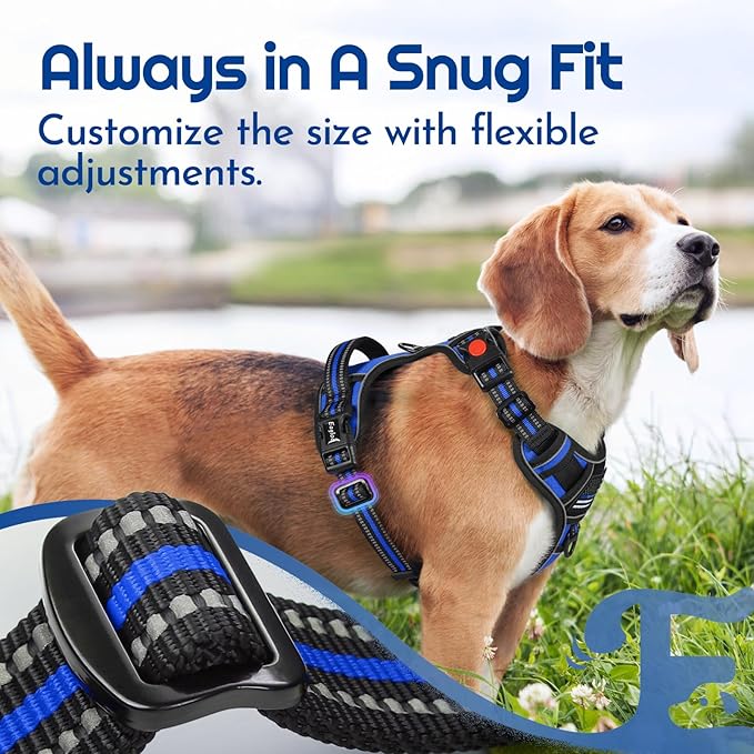 Eagloo Dog Harness for Large Dogs, Easy Wearing with 3 Buckles, Adjustable No Pull Pet Harness with 2 Rings for Walking, No Chock Reflective Soft Padded Vest with Control Handle, Blue & Black, XL-PawvioPets