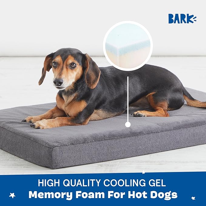 Barkbox Orthopedic Dog Bed with Memory Foam, Premium Comfort for Dogs and Puppies, Dog Beds for Joint Relief and Restful Sleep, Durable and Easy to Clean - Grey, Medium-PawvioPets