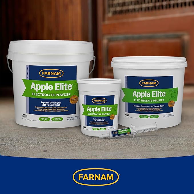 Farnam Apple Elite Electrolyte Paste Supplement for Horses, Replaces Vital Minerals, Encourages Hydration, No Added Sugar, 60 cc syringe-PawvioPets