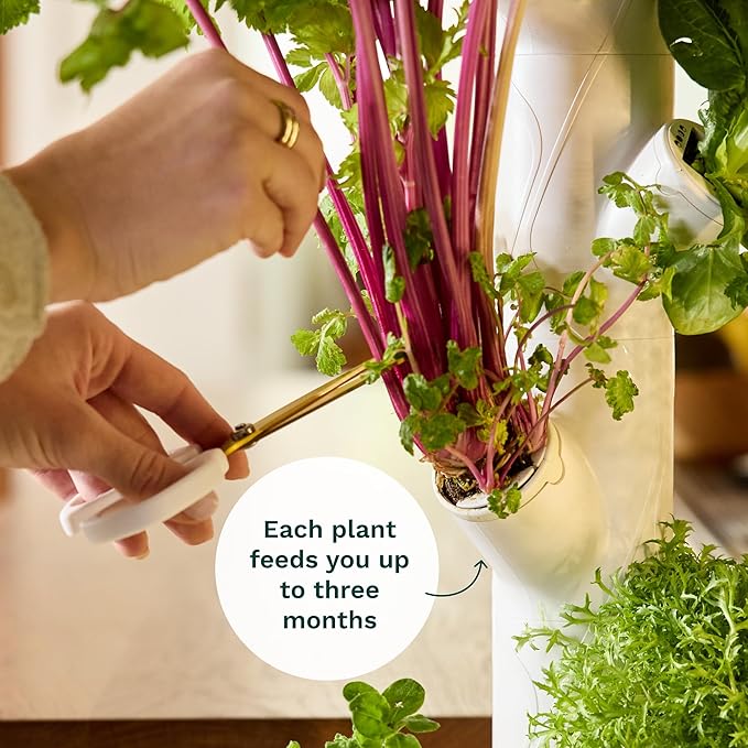 Gardyn 4.0 Hydroponics Growing System Kit & Vertical Garden Planter, 30 Non-GMO Indoor Plants Smart Garden, Herbs, Vegetables & LED Grow Lights for Indoor Gardening System-PawvioPets