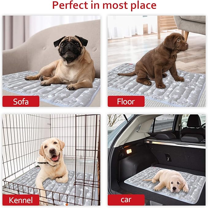 Dog Crate Mat (30" X 19"), Soft Dog Bed Mat with Cute Prints, Personalized Crate Pad, Anti-Slip Bottom, Machine Washable Kennel Pad-PawvioPets