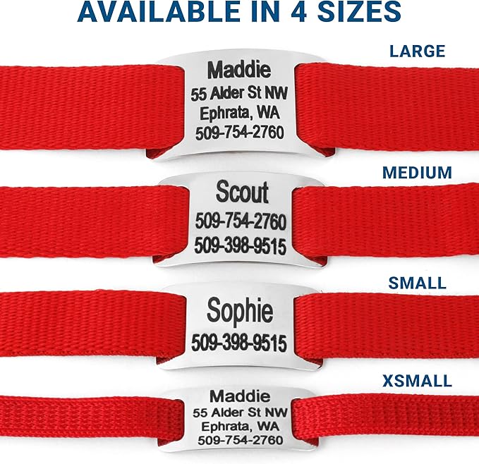 GoTags Personalized Dog Collar with Nameplate, Adjustable Dog Collar with Custom Engraved Slide On Pet ID Tag in Stainless Steel, Silent, No Noise Dog Tag for Large Medium and Small (Red, X-Small)-PawvioPets