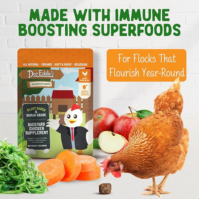 Doc Eddie’s Backyard Chicken Supplement - Plant-Based Treats for Egg Laying Hens - Poultry Feed Enrichment Made with Omega 3 Rich Algae - Essential for Immune Health, Feather Regrowth, Egg Production-PawvioPets