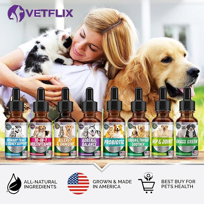 Allergy Immune Anti Itch & Hot Spots - Made in USA Natural Pet Supplement for Cat & Dog Allergy Relief with Turmeric & Milk Thistle -Seasonal Allergies Digestive Treatment for Dogs & Cats - 2 Fl Oz-PawvioPets