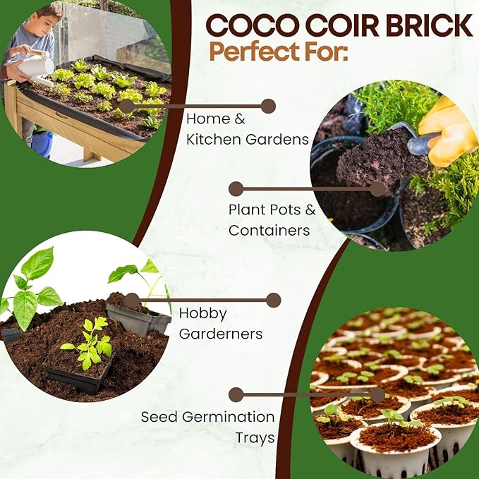 2 Pack Premium Coco Coir Brick for Plants | 100% Organic Compressed Coconut Coir Bricks Starting Mix, Coco Coir Fiber Coconut Husk for Planting, Gardening, Potting Soil Substrate, Herbs, 1.4 LB/Brick-PawvioPets