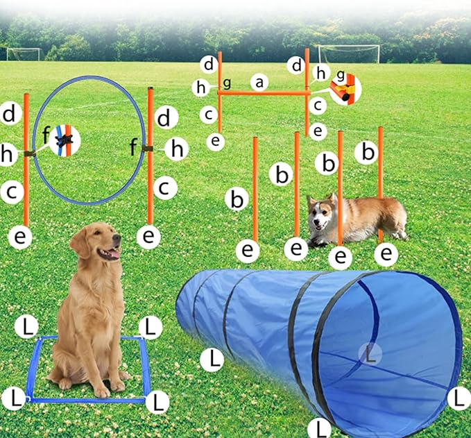 Dog Agility Training Equipment, Obstacle Agility Training Starter Kit for Doggie, Including Tunnel, 13 Weave Poles, Adjustable Hurdle, Jump Ring, Pause Box and Carrying Bag(Blue)-PawvioPets