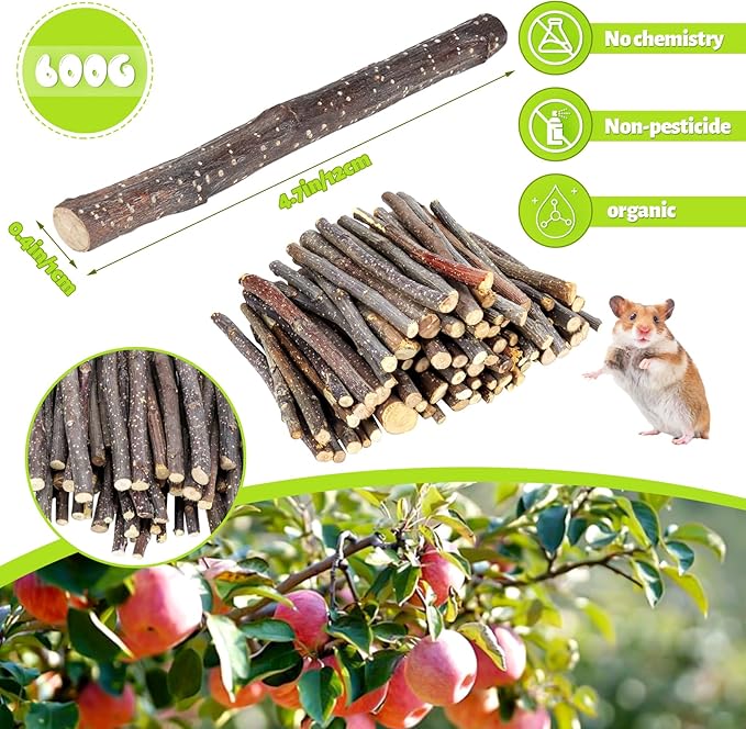 600g Small Apple Sticks Animals Molar Wood Treats Toys for Rabbits Chinchillas Guinea Pig Hamster Gerbil Parrot Bunny Chew Stick Toys Treats, 21.2 OZ-PawvioPets