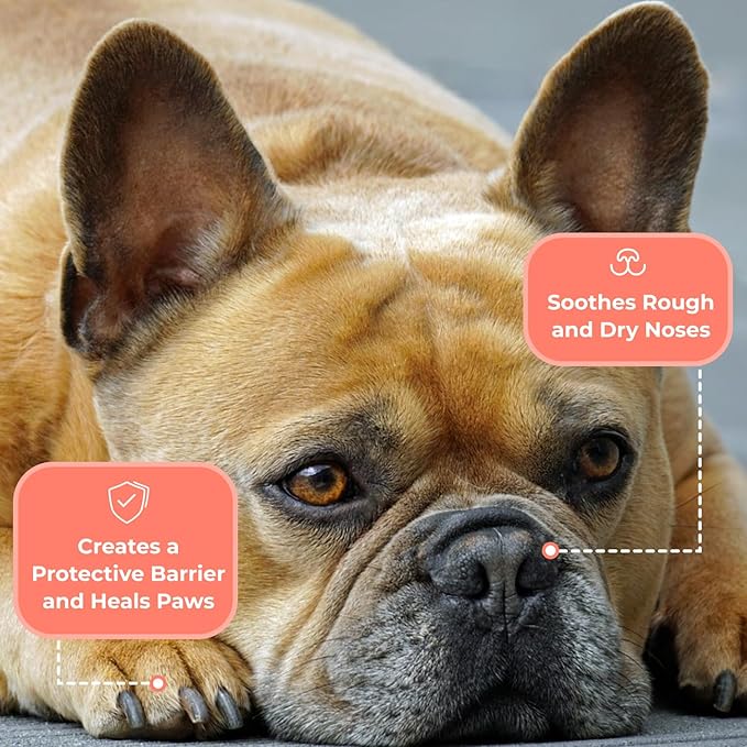 COAT DEFENSE Something Better Balm | Made in USA | Nose & Paw Balm | Lick Safe, Healing and Deeply Moisturizing | Paw Soother for Dogs & Dog Skin Soother (1.5 OZ)-PawvioPets