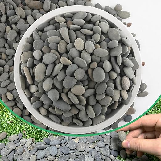 7LB River Rocks Mexican Beach Pebbles for Garden Landscape Plants Paving Grey (1Inch)-PawvioPets