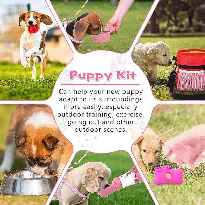 65 Pcs Puppy Supplies Starter Kit Small Dog Essentials Includes Dog Leash, Toys, Bowl, Brushes, Water Bottles, pet Blankets Puppy Accessories for New Welcome Gift Supplies(Cute,Pink)-PawvioPets