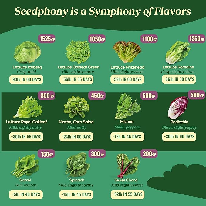 23 Lettuce & Salad Greens Seeds Variety Pack - 25,000+ Non-GMO Heirloom Greens Seeds for Planting Lettuce Indoor & Outdoor: Arugula, Mizuna, Kale, Spinach, Swiss Chard, Mache & More Lettuce Seeds-PawvioPets