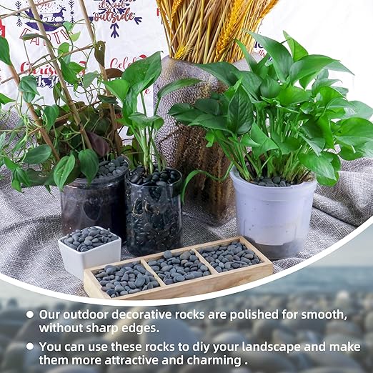 18lb Small Smooth River Rocks Pebbles for Plants & Succulents, Decorative Outdoor Landscaping Garden Rocks, Natural Mexican Beach Pebbles, Gravel for Aquarium, Fish Tanks, Vase and Yard Decor-PawvioPets