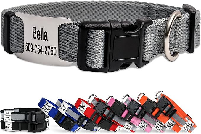 GoTags Personalized Dog Collar with Nameplate, Adjustable Dog Collar with Custom Engraved Slide On Pet ID Tag in Stainless Steel, Silent, No Noise Dog Tag (Light Gray, X-Small)-PawvioPets