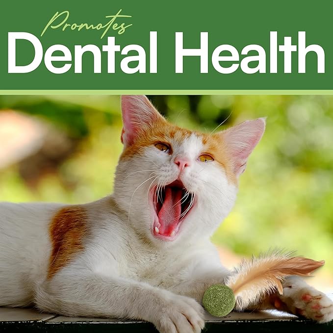 3 Pcs Catnip Balls with Feathers – Natural Catnip Toy for Play, Stress Relief & Healthy Enrichment Interactive Cat Toys Perfect for Indoor Cats & Kittens, Encourages Active Play & Wellness-PawvioPets