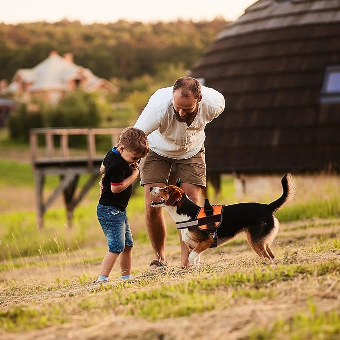 Dogline Dog Harness, Reflective No-Pull Adjustable Vest with Handle for Walking, Training, Breathable, No - Choke Harness for Small, Medium or Large Dogs Room for Patches Girth 22"-28" in Orange-PawvioPets