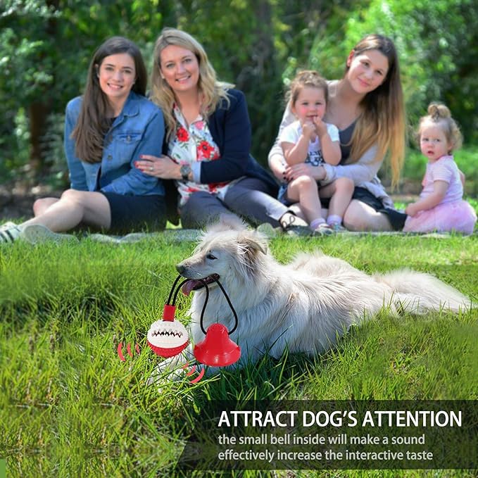 Dog Toys, Dog Chew Toys for Aggressive chewers,Rope with Suction Cup for Puppy Training Treats Teething for Boredom, Small Dog Puzzle Toy Treat Food Dispensing Ball (red)-PawvioPets