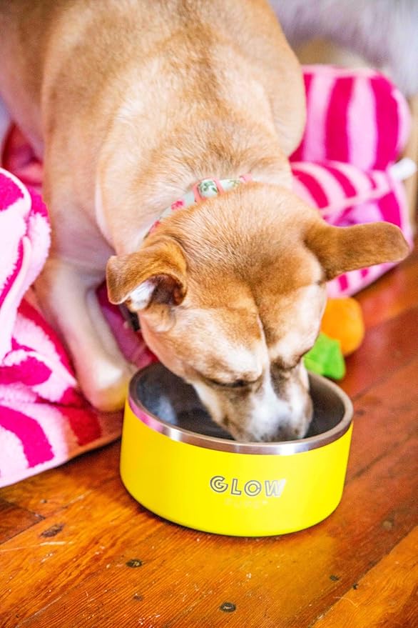 Dog Bowl, Non-Slip Stainless Steel Pet Bowl with Vacuum Insulated Design, Keeps Water Cool, Easy to Clean, Modern Style, 64 oz, Yellow-PawvioPets