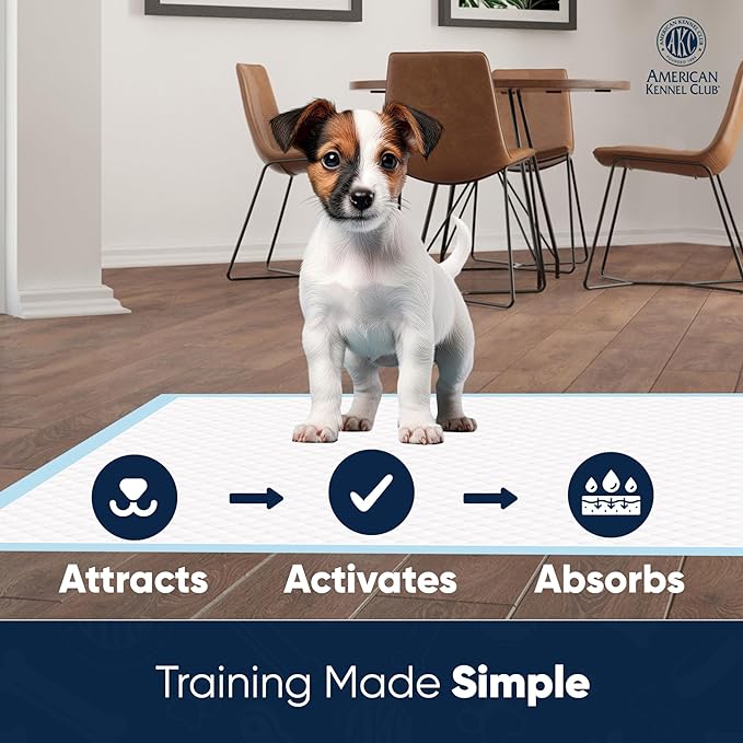 American Kennel Club Scented Puppy Training Pads with Ultra Absorbent Quick Dry Gel – 22 x 22 Pee Pads for Dogs - Fresh Scented - Pack of 100-PawvioPets