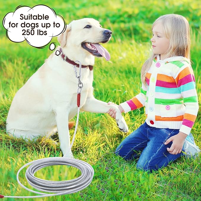 Dog Tie Out Cable for Dogs Outside Up to 125/250lbs,10/20/30/50FT Long Dog Leashes&Chains,Small-Large Dogs Runner Cable for Yard,Heavy Duty Lead Line for Outdoor,Camping,Yard(250lbs 20FT, Silver)-PawvioPets