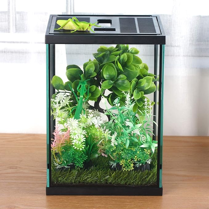 crapelles Black Small Vertical Insect GlassTerrarium, 7.8x7.8x10.8'' Reptile Tank, for Tarantula Larvae Caterpillar Frog Snail Spider Hermit Crab Habitat Container House Cricket Breeding Box-PawvioPets