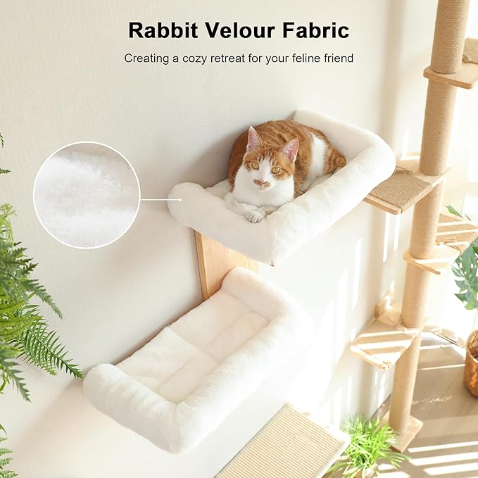 FUKUMARU Cat Wall Shelves, 2 Platform Cats Walls Furniture, Tree Shape Kitten Floating Shelf with Soft Cushion Perch, Solid Rubber Wood for 16 Inch Drywall, Suitable for Climb, Play, Nap-PawvioPets