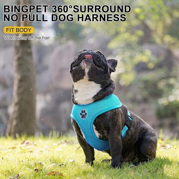 BINGPET No Pull Dog Harness,Soft Mesh Breathable All Weather Vest Harness,Safety Protection Design Durable Adjustable Step-in Easy Walk Dog Harness for Small Medium Large Dogs(RoyalBlue,M)-PawvioPets