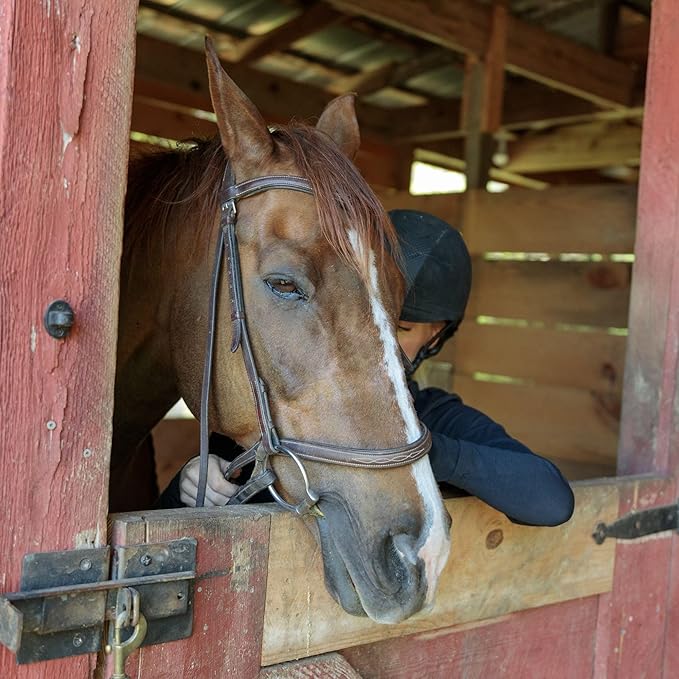 County Vet FarmGard Farm and Dairy Fly Spray -16 oz - (Case of 6) - 349316CVB - Provides Rapid Control of Barn Pests-PawvioPets