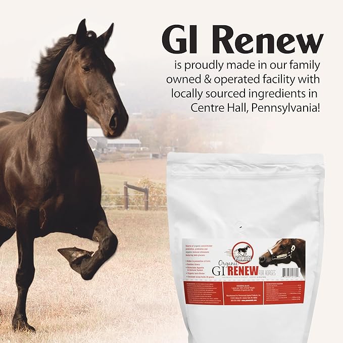 GI Renew, Probiotics for Equine, Immune and Appetite Stimulation, Prebiotics, Digestive Enzymes | Horse Supplement Providing Ulcer Relief and Organic Toxin Binder, 5 LB Pouch-PawvioPets